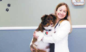 Goldfield Vet Clinic welcomes new full-time veterinarian