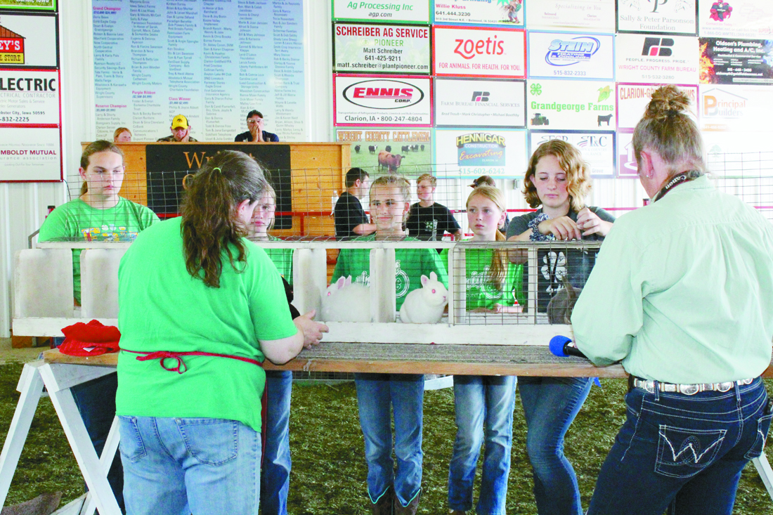 It’s not fair… But Wright County makes the most out of COVID-19 Fair opportunities for local 4-H and FFA youth