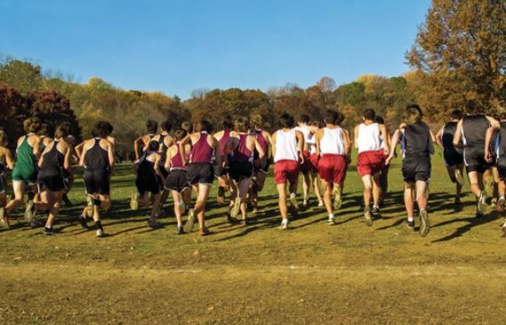 CGD cross country teams compete at Webster City