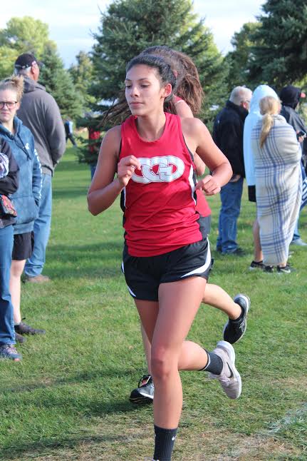 Cross country teams run at NCC meet in C. Lake