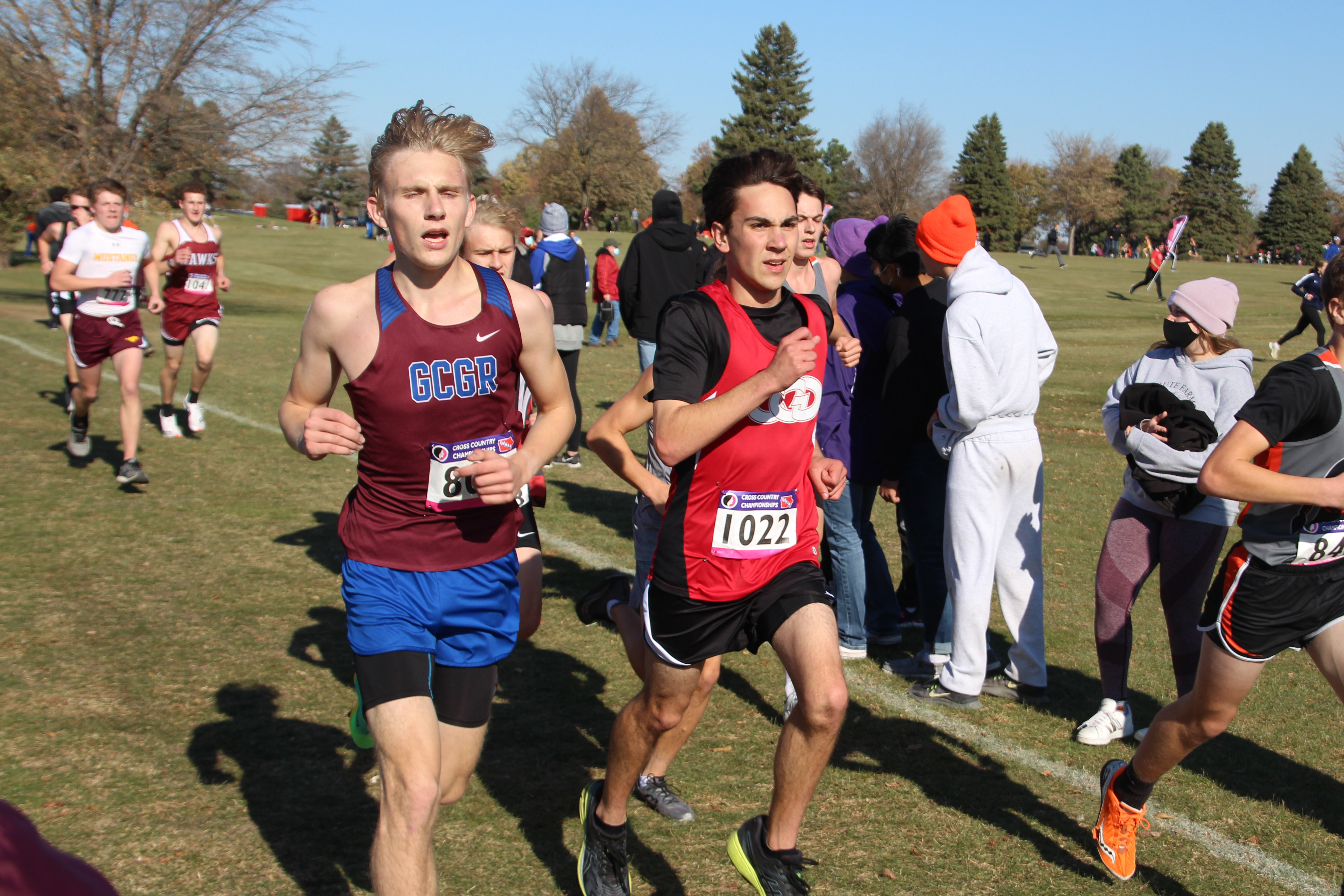 Nebbe competes in State Cross Country