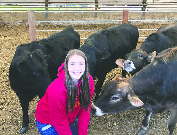 Wright County youth helps feed hungry Iowans through Beef Up Iowa program