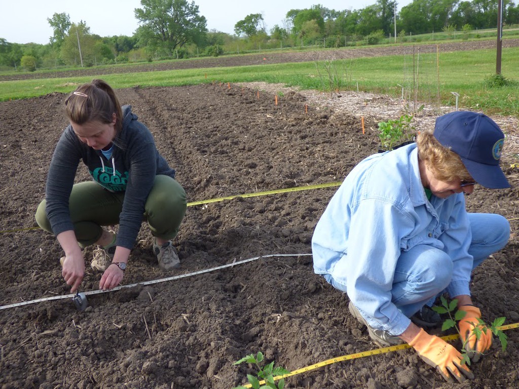 WC Extension Office & First Lutheran Food Pantry offers free gardening programs, volunteer opportunities