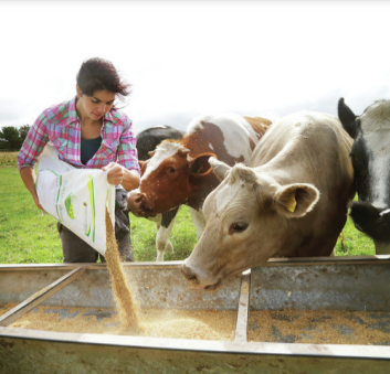 Wright County Extension offering Women in Ag Series