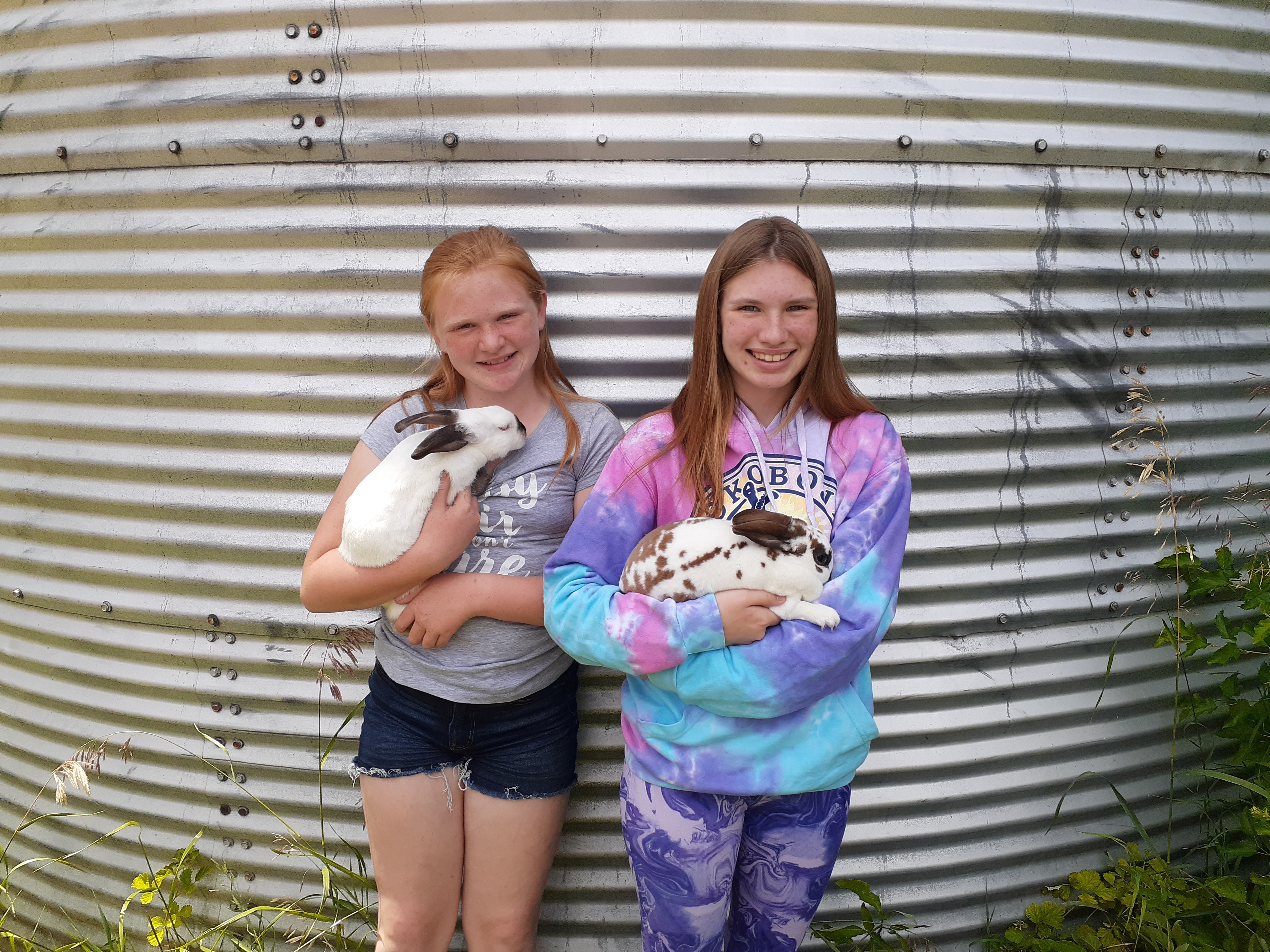 A family Af-“FAIR”- Charlson family all gets involved in the Wright County Fair fun