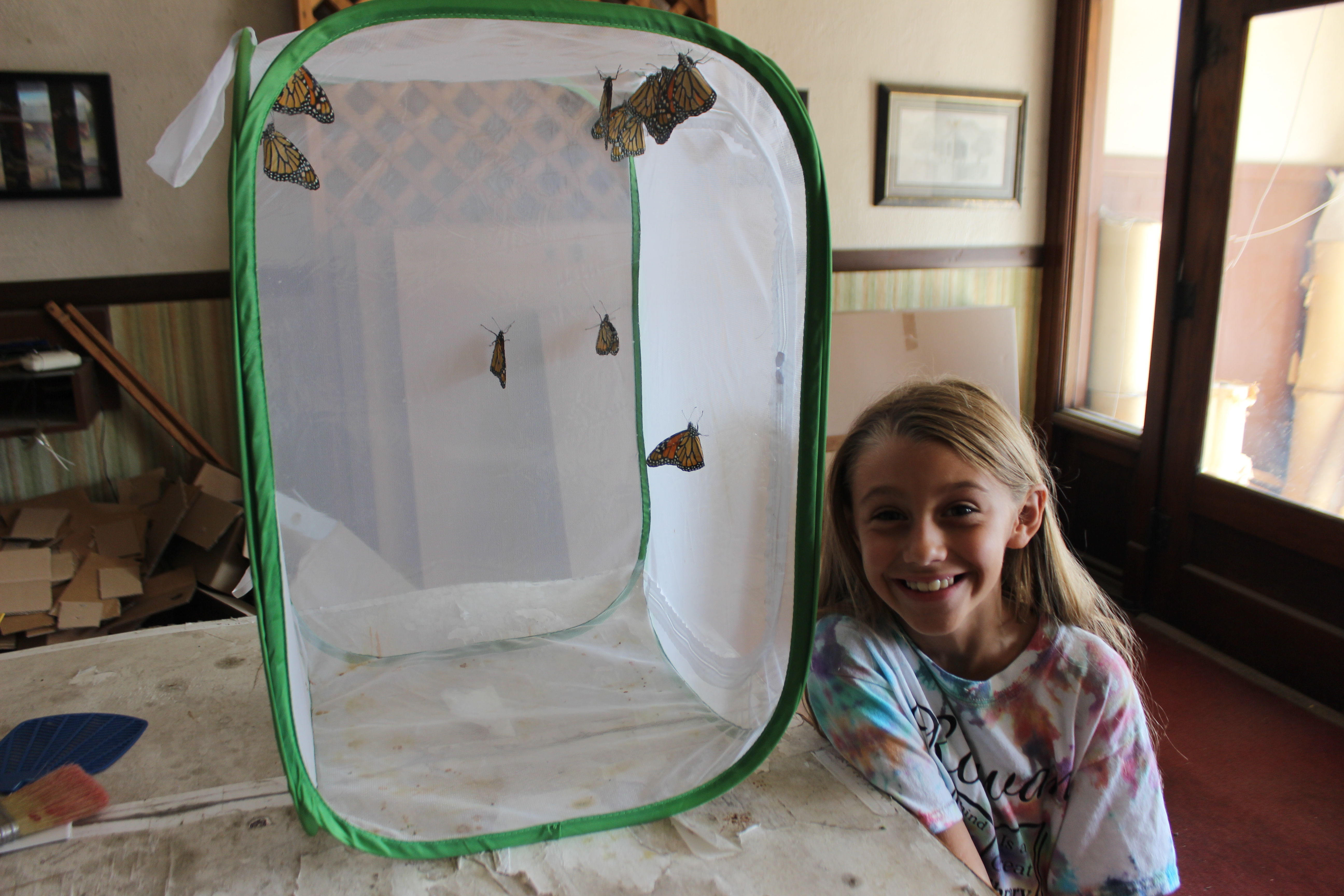 Rowan girl works to save the monarchs