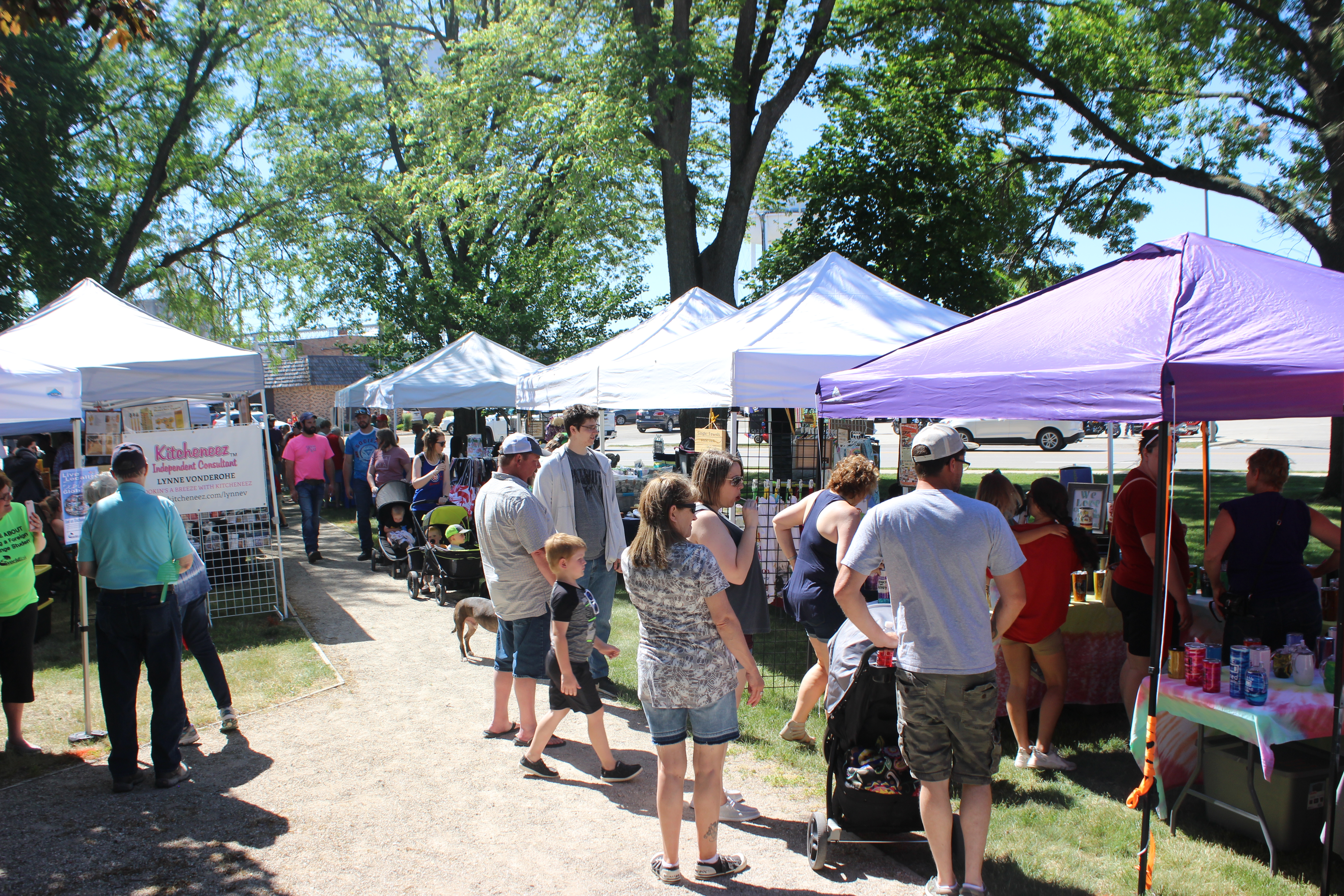 Festival in the Park bringing back live stage entertainment