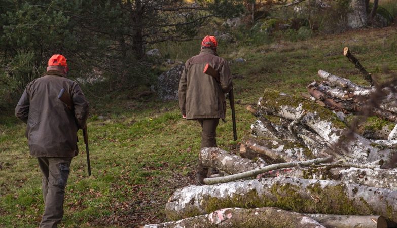 hunt, hunter, musket, armed, hunter, hunter, hunter, hunter, hunter