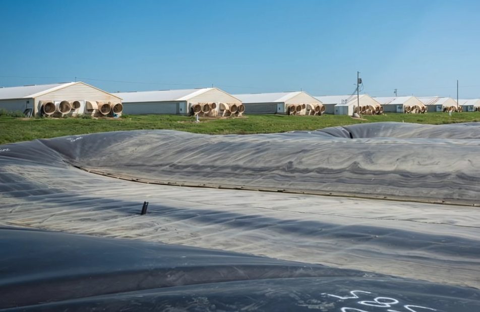 Anaerobic Digestion Webinar Series Returns for 2025