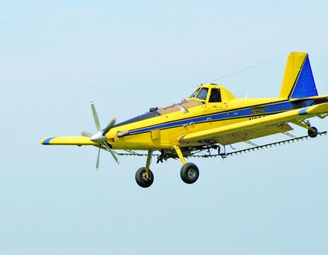 Aerial Views